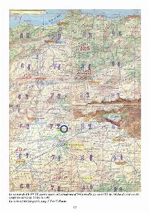 403-PEKINOIS VERT - MICHEL BUAILLON (17)